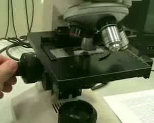Manejo del microscopio óptico
