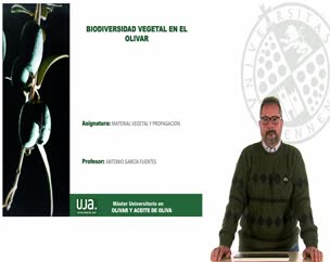 Biodiversidad vegetal en el olivar