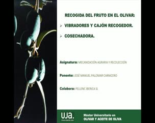 Recogida del fruto en el olivar: Vibradores y cajón recogedor. Cosechadora.
