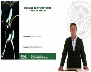 Orígenes de internet como canal de ventas