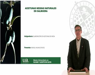 Aceitunas negras naturales en salmuera